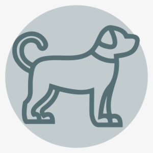 Dog Coupons - Ville De Saint Etienne #1955532