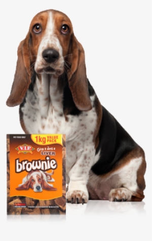 New Darrell Lea Pet Food Bosses To Target Premium Confectionery, - Dog #1955562