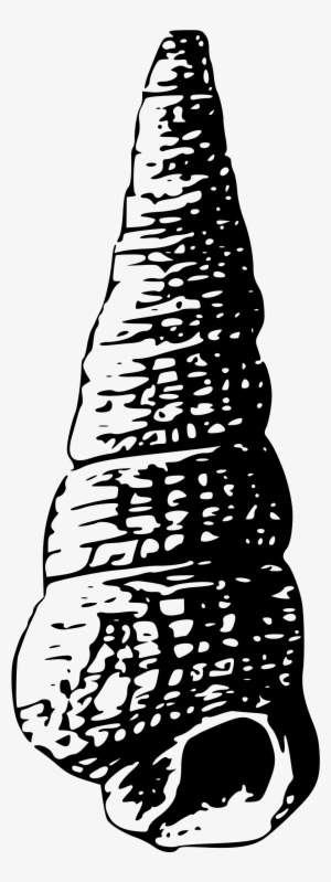 Clipart - Silhouette Black And White Shell #1955564
