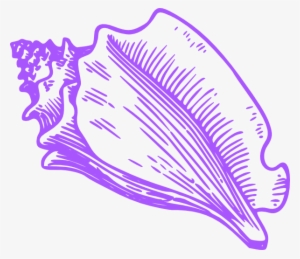 Conch Shell Clip Art - Conch Clipart #1955683