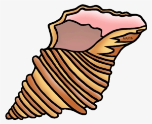 28 Collection Of Shell Clipart - Shell Clipart #1955734