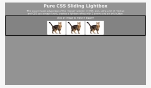 80 Pcs Lot Cat Toy Orange Ball Y Toys Catnip #1955868