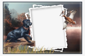 Clipart Dogs Picture Frame - Father's Day Frames Png #1956006 Clipart Dogs Picture Frame - Father's Day Frames Png #1956006