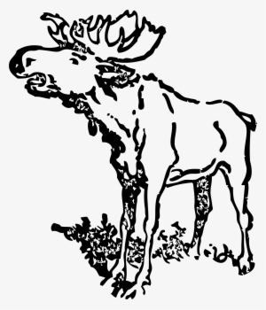 Moose Png #1956052