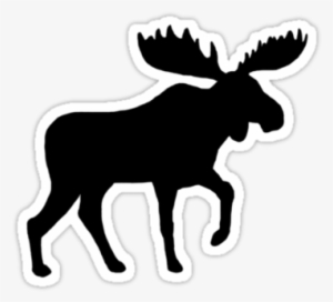 Moose Silhouette By Jenn Inashvili - Moose Silhouette #1956083