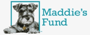 Maddie's Fund #1956204
