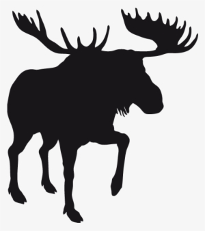 Stickers Moose - Cramahe, Ontario #1956494