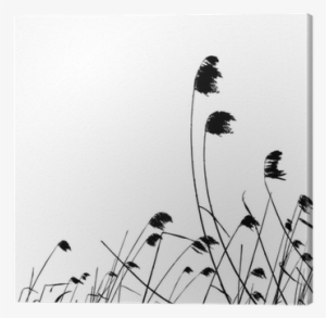 Real Grass Silhouette - Stock Illustration #1956718