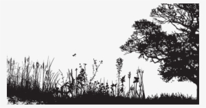 Living Sustainably In Place At Grinnell College Presents - Oak Tree Poem By Virginia Woolf #1956724