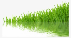 Next - Water #1956759