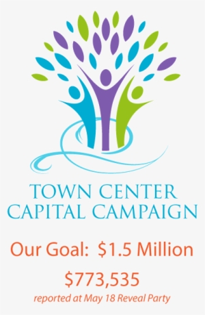 Town Center Campaign Goal - Mps Greenery Developers Ltd #1956897