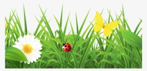 Grass With Flowers Png Hd #1956989