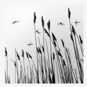 Real Grass Silhouette And Few Dragonflies - Grasses Stencil #1957008