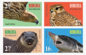 Joint Stamp Issue Romania United Nations Postal Administration - United Nations Postal Administration #1957821