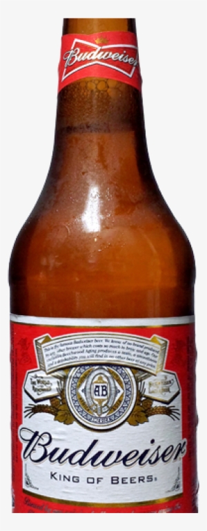 Budweiser Bottles - Budweiser #1957843