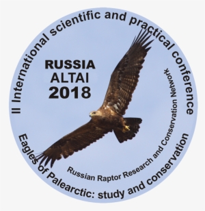 Altay Eagle #1957913