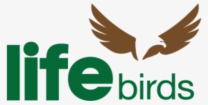 Lifebirds #1958072