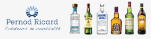 Pernod Ricard - Vodka #1959492