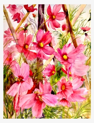 The Life Cycle Of Cosmos - Biological Life Cycle #1960058