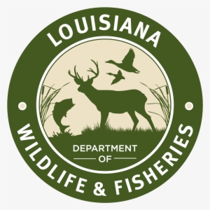 Louisiana Man Cited For Illegal Fish Sales - Louisiana Wildlife Fisheries #1960064