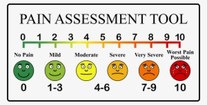 Chart Clipart Doctor Tool - Pain Assessment Tool #1960790