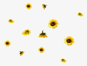 Flores Sticker - Aesthetic Sunflower Transparent Background #1962271