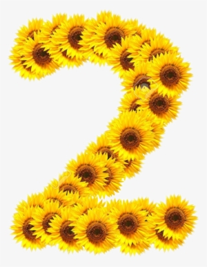 Report Abuse - Photography #1962540