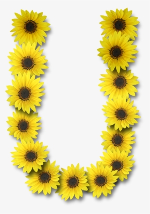Alfabeto Sunflowers - Sunflower Letter U #1962702