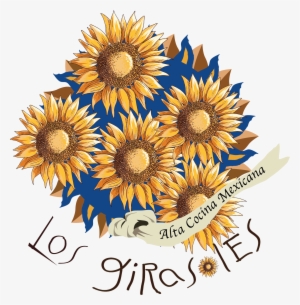 Los Girasoles - African Daisy #1962723