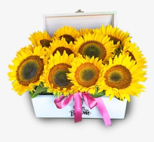 Baúl De Madera En Tono Blanco Adornado Con 16 Radiantes - Artificial Flower #1962876