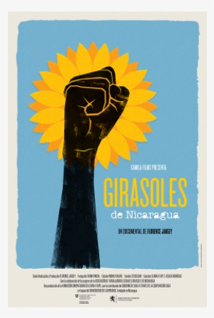 Sunflowers Of Nicaragua - Nicaragua Poster #1962923