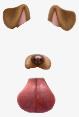 Report Abuse - Snapchat Dog Filter Png #1964113