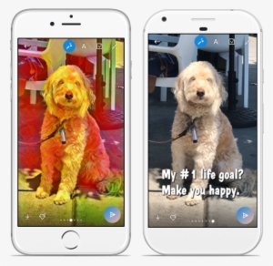 Dog Duo Nobackground - Effects In Skype #1964394