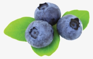 Be Right Back - Blueberries 5'x7'area Rug #1964971