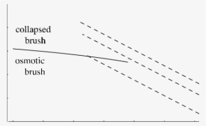 Typical Phase Diagram Of A Single Brush In Theta Solvent - Phase #1965421