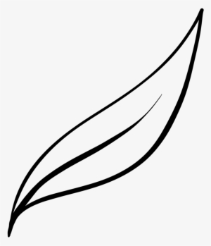 Illustration Brush Essentials - Line Art #1965612