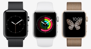 Accessibility Support Official - Apple Watch #1965705 Accessibility Support Official - Apple Watch #1965705