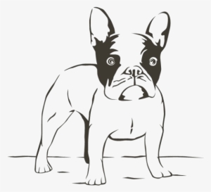 The Pet Project Atlanta Ga Pug - Bulldog Frances Para Colorear #1966128