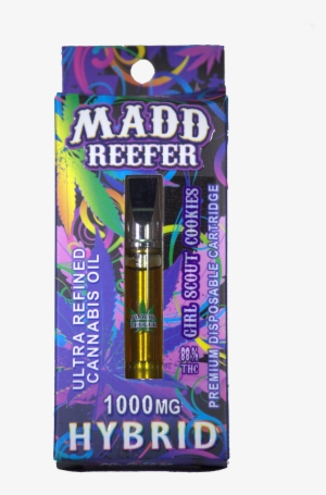 Previous - Kottak Rock And Roll Forever #1968049