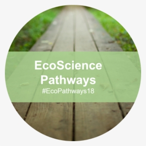 Key Takeaways From The Ecoscience Project - Health Care #1970399