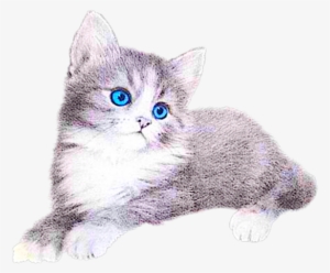 Kitten Free Images At Clker Com Vector - Котята Картинки #1972102