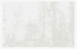 Ana Bg1 - Darkness #1973407