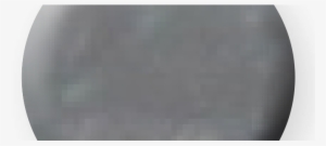 Champion Polish G1458 #1973438