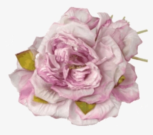 Portable Network Graphics #1973518