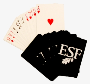 Playing Cards - Ranger School: A Century In The Forest #1974397