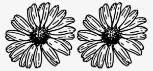 How To Set Use Daisies Svg Vector #1974531