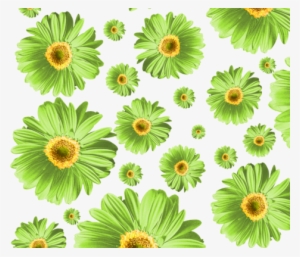 Green Daisies Fabric By Ophelia On Spoonflower - Gerbera Daisy Green Png #1974644