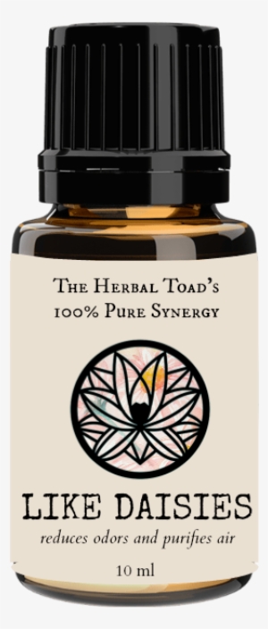 Like Daisies #1974668