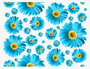 Fuchsia Daisies #1974742