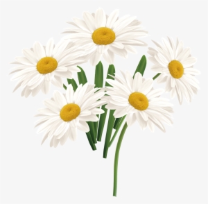 Flower Common Daisy White - Daisies In A Blue Watering Can - Seasonal Window Decorations #1975237